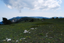 Ай-Петринская яйла