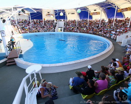 Дельфинарий Коктебель