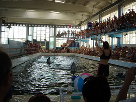 Карадагский дельфинарий