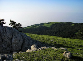 Никитская яйла