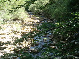 Река Коккозка