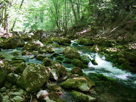 Яблоневый Брод