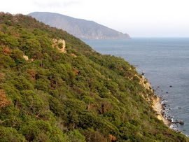 Заповедник «Мыс Мартьян»