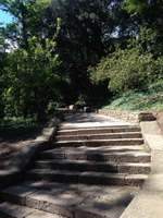 Экскурсия в Никитский ботанический сад из Ялты