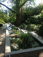 Экскурсия в Никитский ботанический сад из Ялты