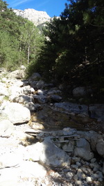 Боткинская тропа здоровья и Ай-Петри