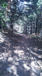 Однодневный поход на Роман-Кош (1 545 м. над уровнем моря)