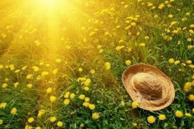 В Крыму рассказали, каким будем лето