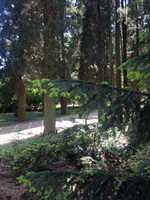 Фотографии Никитского Ботанического сада